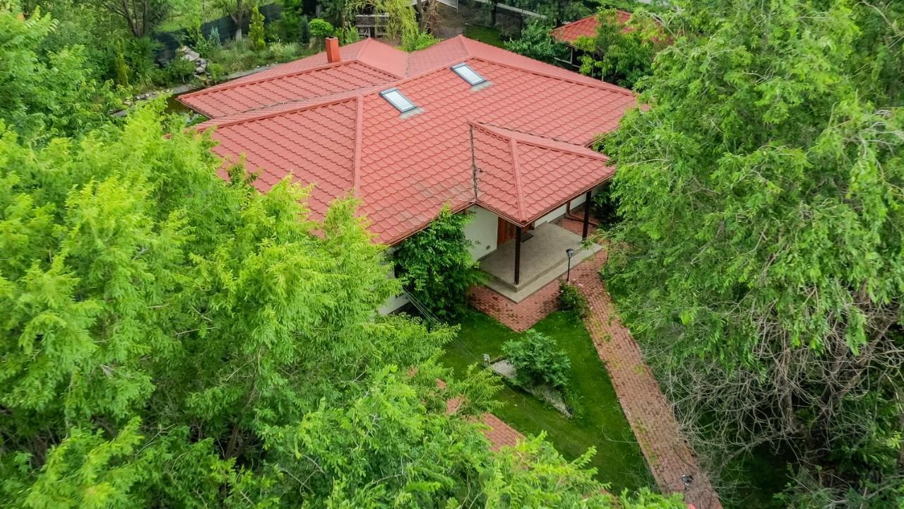 Casa Arcadia 1 Piscina,Jacuzzi, Sauna Buzau Exterior photo