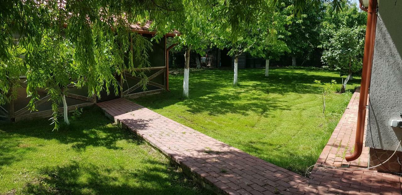 Casa Arcadia 1 Piscina,Jacuzzi, Sauna Buzau Exterior photo