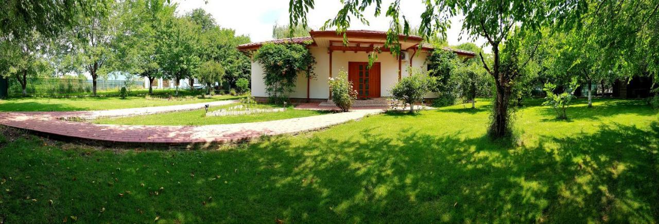 Casa Arcadia 1 Piscina,Jacuzzi, Sauna Buzau Exterior photo